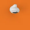 Digital Watchdog - DWC-PPVF9Di2TW - MEGApix 9MP fisheye IP camera with fisheye lens and IR with IVA+ license