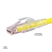 Simply 45 - S45-1700P - PROSeries Pass Through Red Tint, Hi/Lo Stagger - Cat6/6a UTP with Cap45 - 100pc Jar
