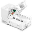 TRENDNET - TC-K50C6 - 50 Pack Cat6 RJ-45 Keystone Jack