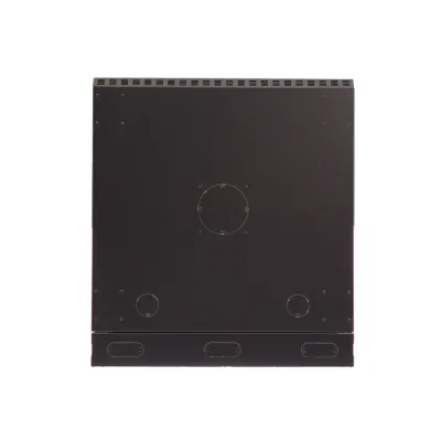 Kendall Howard - 3131-3-001-12 - 12U LINIER® Swing-Out Wall Mount Cabinet- Solid Door