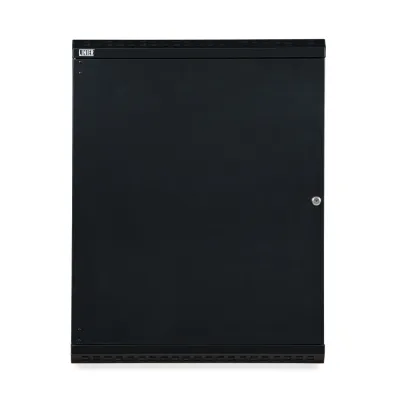 Kendall Howard - 3131-3-001-15 - 15U LINIER® Swing-Out Wall Mount Cabinet - Solid Door