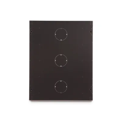 Kendall Howard - 3132-3-001-15 - 15U LINIER® Swing-Out Wall Mount Cabinet - Vented Door