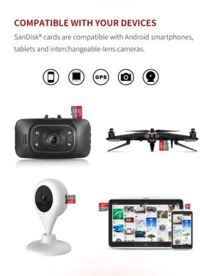 Vivotek - SDSDQAS4-064G - Sandisk Industrial micro SD 64GB