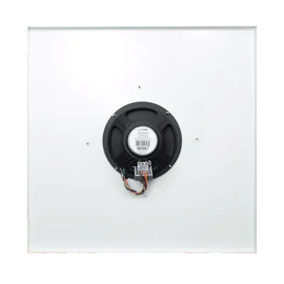 SPECO - G86TG2X2C - 2'x2' G86 Ceiling Tile Speaker with Volume Control Knob