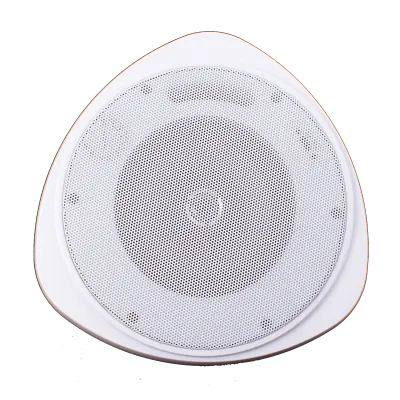 SPECO - SP30PT - 30 Watt RMS 5" Pendant Speaker with Hanging Chain