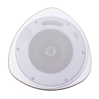 Speco - SP30PT - 30 Watt RMS 5" Pendant Speaker with Hanging Chain