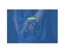 Ganz - ZNS-CVA-GUN-1 - Weapon Detector CVA License (Cortrol Video Analytics)