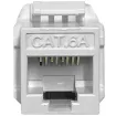 Platinum Tools - FR7054 - Keystone Cat6A, UTP, White 1/Bag