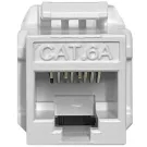Platinum Tools - FR7054 - Keystone Cat6A, UTP, White 1/Bag