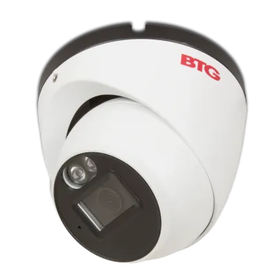 BTG-NS1909IROD28W 8MP 2.8mm Fixed Lens Eyeball Camera with Audio