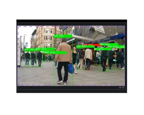 Ganz - ZNS-CVA-OBJ-1 - Object Detection CVA License (Cortrol Video Analytics)