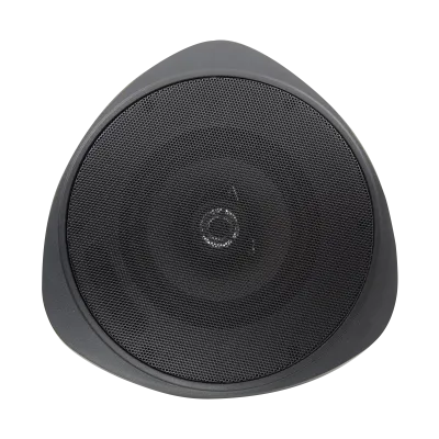 Speco - SP30PTB - 30 Watt RMS 5" Pendant Speaker with Hanging Chain – Black
