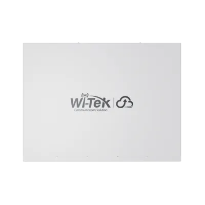 Wi-Tek - WI-PCMS554F-L3 V2 - Cloud L3 Managed PoE Switch